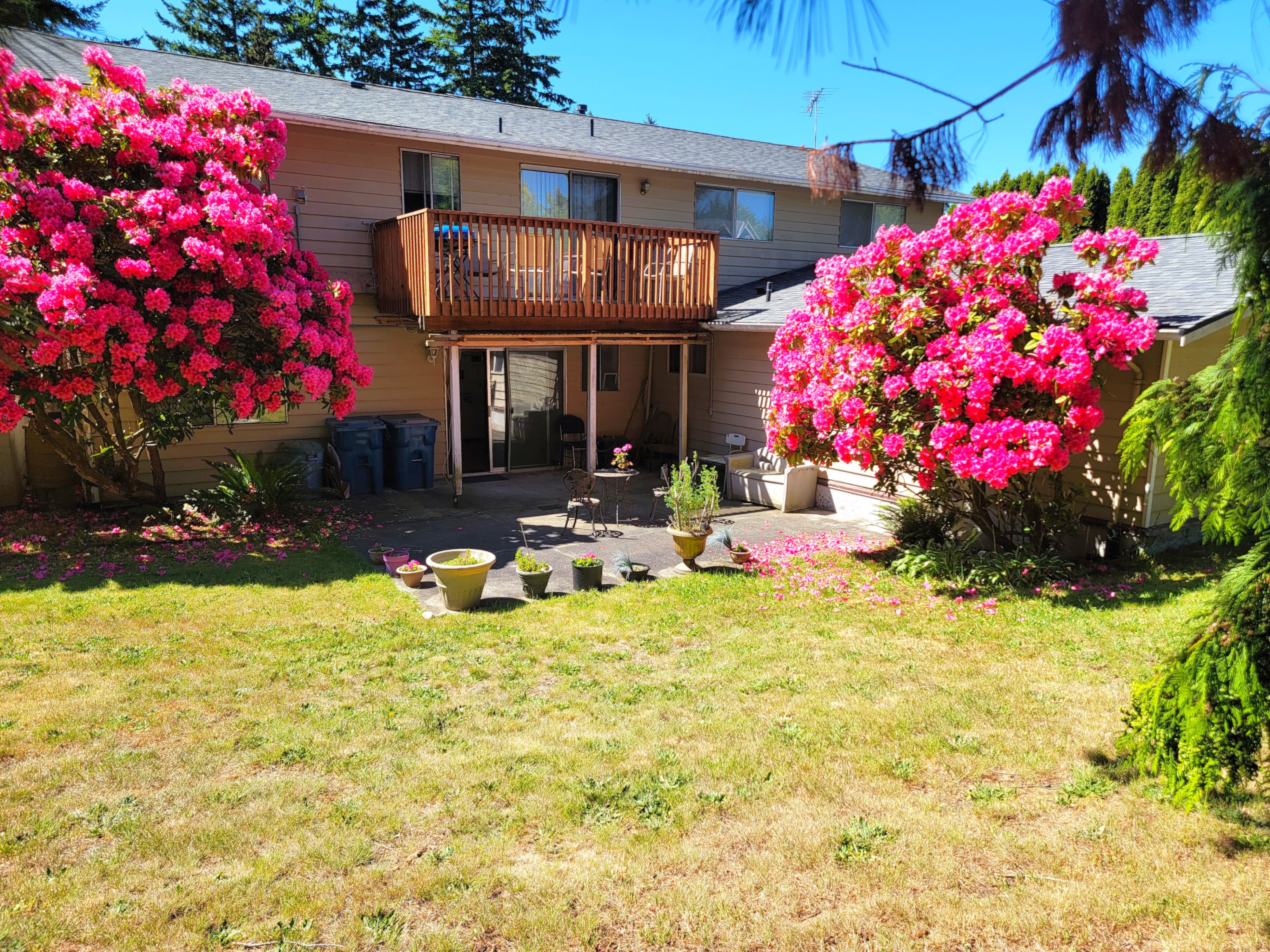 Backyard Garden